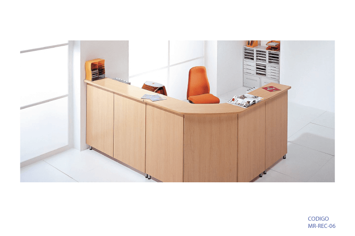 [MR-REC-06] Recepción marca: MR modelo: MR-REC-06