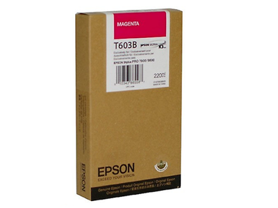 Epson cartucho tinta stylus photo negro pro 3800  T603600