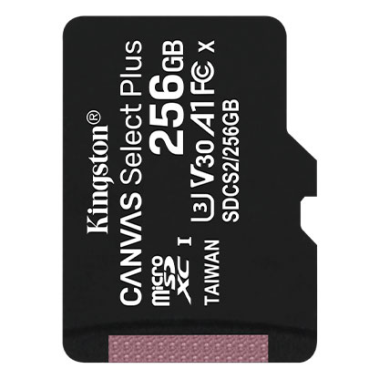 Kingston tarjeta de memoria micro SD (clase 10) SDCS2/256GB Canvas