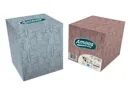 Amoos pañuelos faciales de papel desechable cubo cosmetico 70 X 2 capas caja de 24unds - F622701